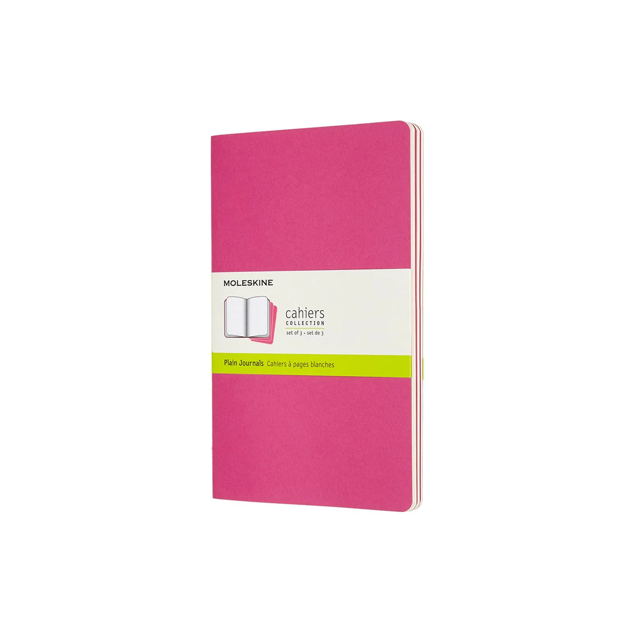 Cahier Large Notebook Set Kinetic Pink